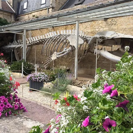 Halte Lutine - Maison Chaleureuse En Pierres