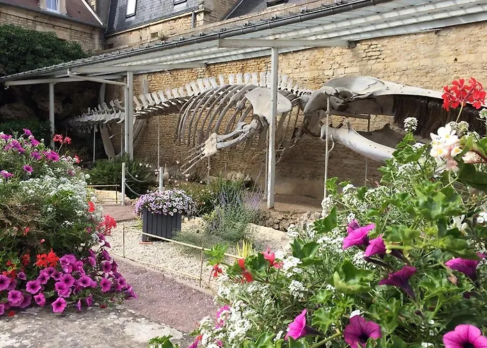 Halte Lutine - Maison Chaleureuse En Pierres